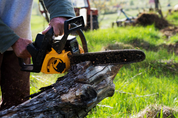 Best Pest Control for Lawns  in Quincy, WA